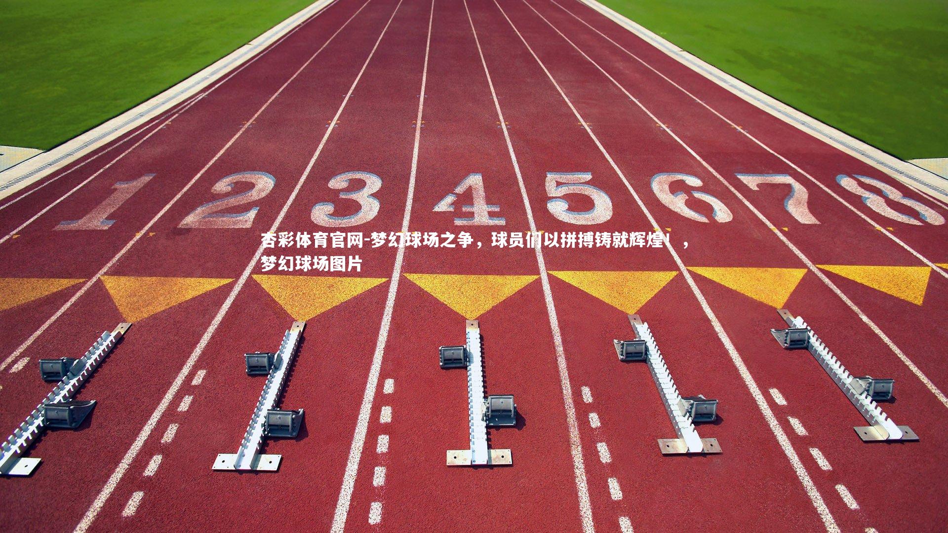 杏彩体育官网-梦幻球场之争，球员们以拼搏铸就辉煌！，梦幻球场图片