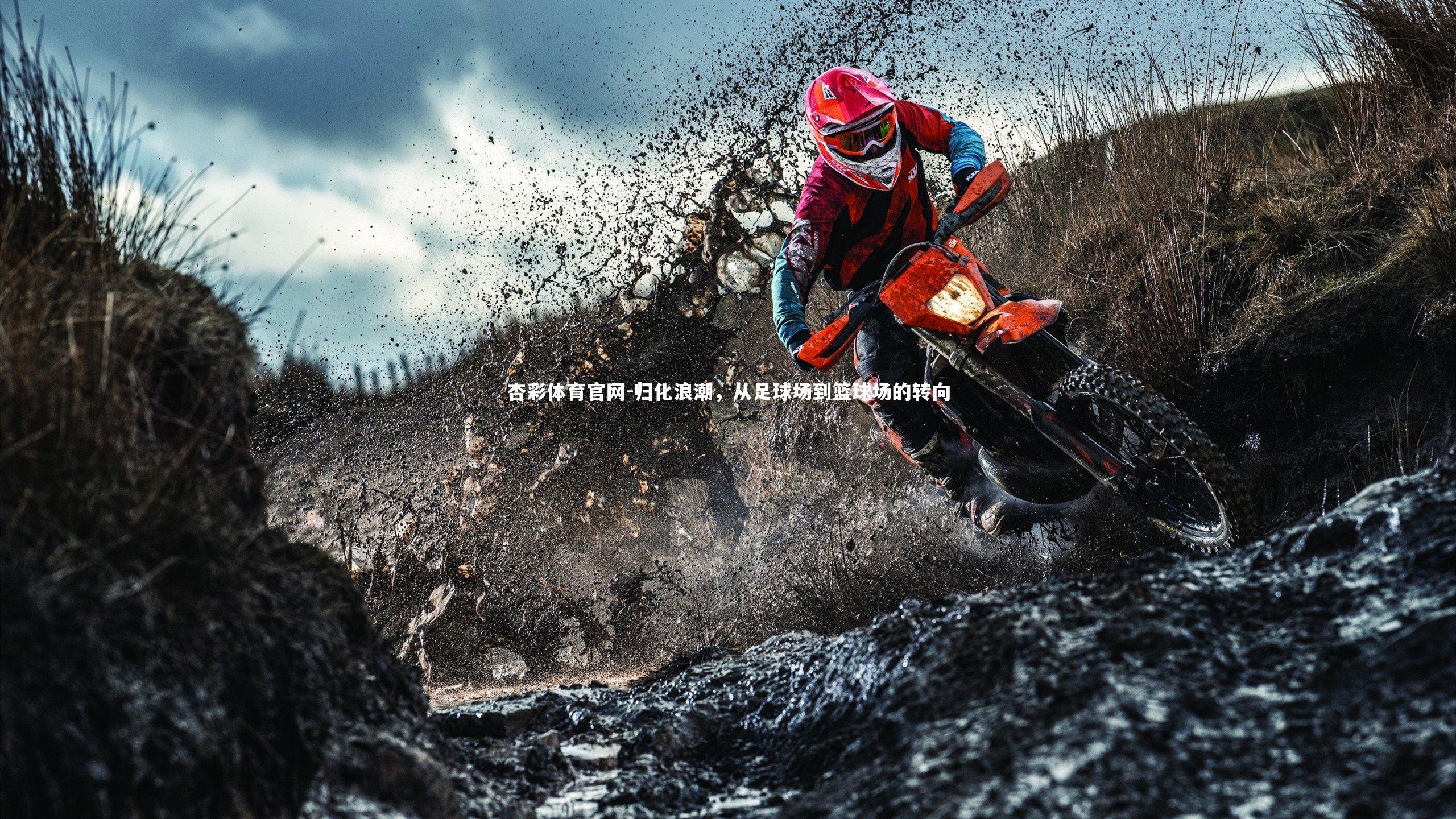 归化浪潮，从足球场到篮球场的转向